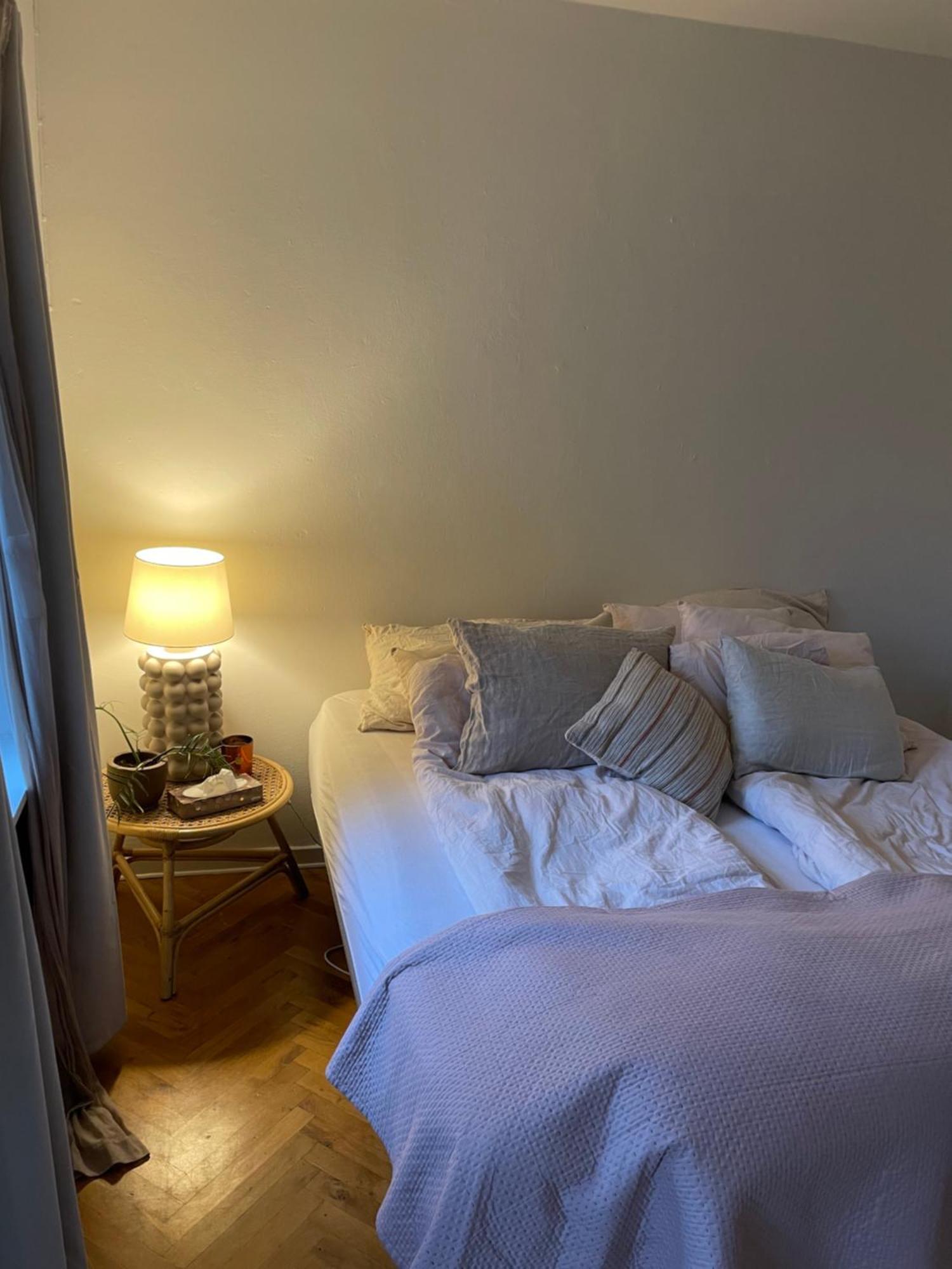 Central Lejlighed Med Udsigt Til Parken Odense Extérieur photo